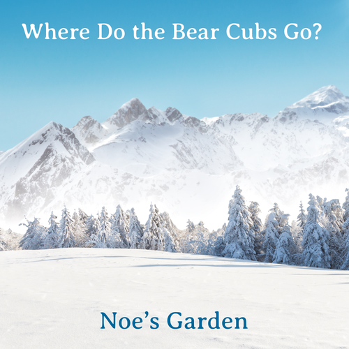 Where Do the Bear Cubs Go? - Physical CD