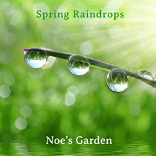 Load image into Gallery viewer, Spring Raindrops - Physical CD