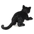 Black Cat Hand Puppet by Folkmanis + Personal Postcard from Noe